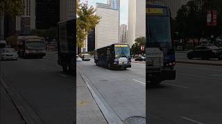 Pace Express Bus on Route 850 6979CTA NovaBus LFS 8624 No Route shorts [upl. by Neffirg460]