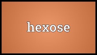 Hexose Meaning [upl. by Getter]