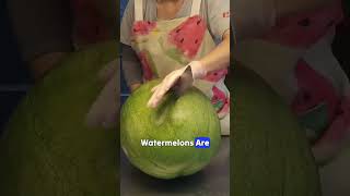 Why do they love to eat watermelon rind foodtiktok why travel watermelon short [upl. by Yeslehc]