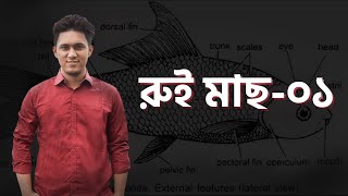 01 রুই মাছ০১  BATTLES OF BIOLOGY [upl. by Ianteen]