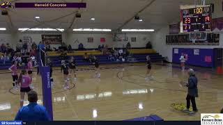 HerreidSelby Area Wolverines vs Faulkton Area VB [upl. by Luane753]