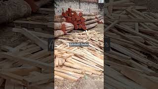 Teak woodadishakti timber [upl. by Angelle]