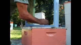 PART2Treating wood Beehive boxesImproved UPDATED versionBeekeeping Beekeepers improvements [upl. by Dowell358]