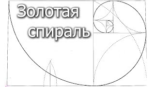 Как начертить золотую спираль [upl. by Coffee]