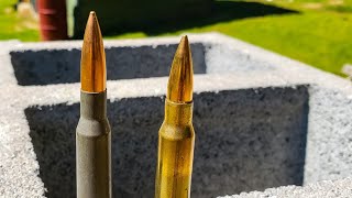 762X54R VS 308 Win  Cinder Block Test  Mosin VS CMMG Endeavor [upl. by Acyre]