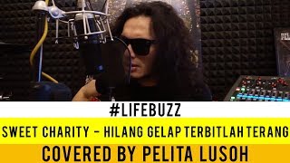 LifeBuzz Pelita Lusoh  Hilang Gelap Terbitlah Terang Originally performed by Sweet Charity [upl. by Llohcin]