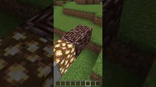 Tuneladora no Minecraft Bedrock Teste 58 [upl. by Viccora]