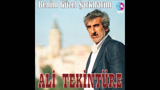 ALİ TEKİNTÜRE  GÖNLÜME SOR [upl. by Allisurd]