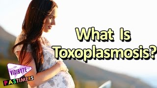 What Is Toxoplasmosis Symptoms and Causes  Health Tips [upl. by Gillmore]