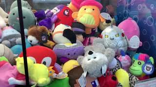 A “Bearable” Win At This Sugarloaf Claw Machine [upl. by Konstantin542]