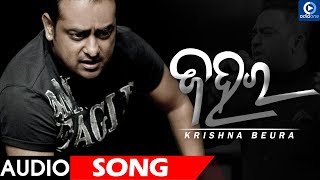 ZAHARA  AUDIO SONG  KRISHNA BEURA [upl. by Rhea]