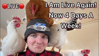 🔴 Joseph Is Live With His Flock Comfort And Corn 🔴 [upl. by Flower296]