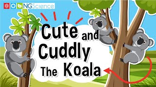 Cute and Cuddly – The Koala [upl. by Esinehs]