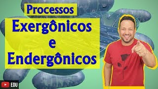 Processos Exergônicos e Endergônicos  Bioenergética  Aula 2 [upl. by Dahraf10]