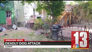 Police Large group of dogs attacked Albany man to death [upl. by Tessil]