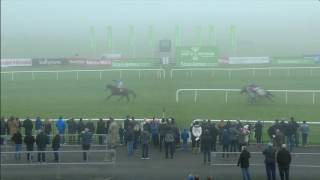 Punchestown Highlights 20th November 2016 [upl. by Rosenthal]