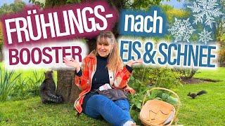 Nach KÄLTE Frühlings BOOSTER für ROSEN  spritzen pflegen düngen VORBEUGEN  MUTTERTAG Special [upl. by Antonetta]