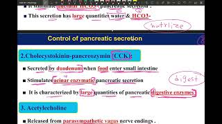 L9  Physiology of exocrine pancreas liver functions [upl. by Abelard559]