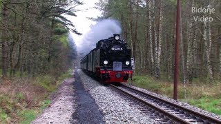 Eisenbahn 2012 25 Dampfloks  Steam Trains  Züge [upl. by Pegma]