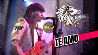 1990  TE AMO  Jose Santos El Titere  El Pega Pega Pegasso  En Vivo [upl. by Gunner]