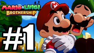 Mario amp Luigi Brothership Gameplay Walkthrough Part 1 [upl. by Koller753]