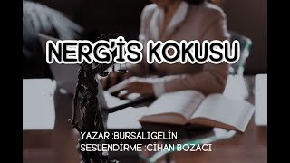 NERGİS KOKUSU 10BÖLÜM amp SESLİ KİTAP amp BURSALI GELİN [upl. by Ella]