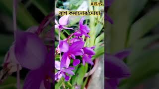 Rag komanor boya motivation bangla motivational flowers quotes azahariwaz naturephotography [upl. by Fricke]