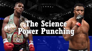 What Makes a Power Puncher  5 Factors That Makes a Knockout Artist [upl. by Leuqim]