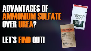 What are some benefits of ammonium sulfate compared to urea [upl. by Tait]