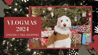 Critz Farms  Tree Decorating  Vlogmas 2024 🎄🫶🏼🎀 [upl. by Verna]