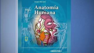 Anatomía humana 2 tomos LATARJET  PDF  Panamericana 5 ED 2018  Link De Descarga [upl. by Valorie]