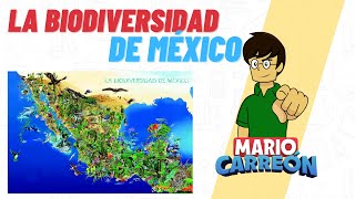 La Biodiversidad de México [upl. by Anaahs]