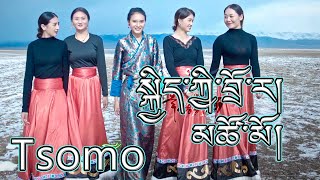 Beautiful Tibetan Dance Song by Tsomo སྐྱིད་ཀྱི་བྲོ་ར། མཚོ་མོ། [upl. by Cedric]