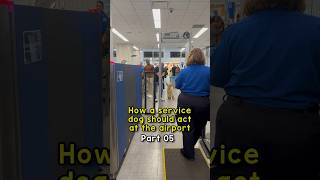 TSA lost my service dog’s collar [upl. by Ydissahc188]