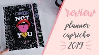 REVIEW PLANNER DA CAPRICHO 2019 [upl. by Wieche798]