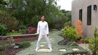 WarmUp for the Low Back with Master Li Junfeng 2019 [upl. by Ahseenyt669]