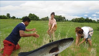 Beautiful Girl Fishing  Amazing Fishing at Battambang  How To catch fish by hand [upl. by Pernick]