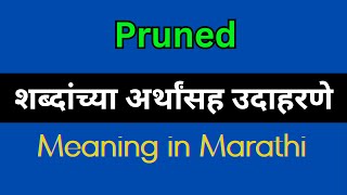 Pruned Meaning In Marathi  Pruned explained in Marathi [upl. by Ilagam]