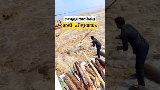 തടി പിടുത്തം log collection Koshi barrage wood blockage malayalam short [upl. by Analram631]