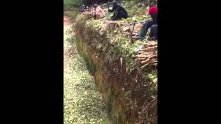 How to make silage manually [upl. by Bessy]