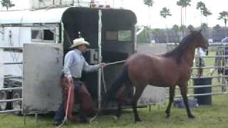 Horse Trailer Loading the Natural Way [upl. by Oniluap15]