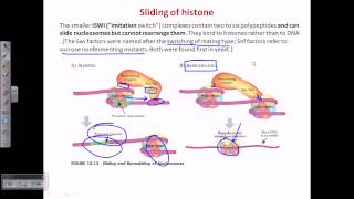 ATP dependent chromatin remodelling [upl. by Etnoved841]