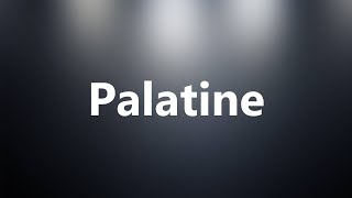 Palatine  Medical Definition and Pronunciation [upl. by Akemihs978]