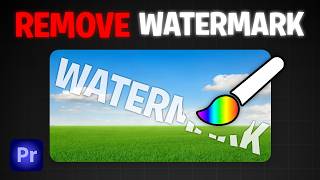 How To Remove a Watermark From Video in Premiere Pro [upl. by Corinna]