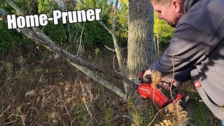 CRAFTSMAN 20Volt 6Inch Pruner Chainsaw With 2Ah Battery Kit Review CMCCS320D1 [upl. by Desmund]