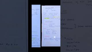 🤔cerebrospinal fluid🖋️🤗 components of csfcirculation of csf🤗youtubeshortsrrb upscNORCETneet [upl. by Pooi]