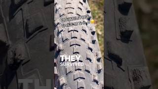 Accidental Carbon RIM Test 😎 ELITEWHEELS PRO36 Wheels and Pirelli XC RC tires mtb elitewheels [upl. by Hsac]