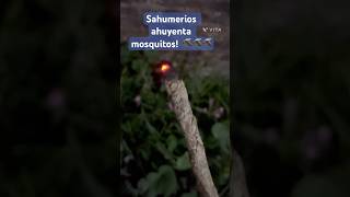 Sahumerios súper potente contra los mosquitos💪🏻🦟 mosquitos diy dengue shorts [upl. by Aivan]