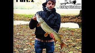 CARNASSIERS en Automne Part2  Brochet amp Perche [upl. by Sivaj]