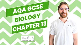 AQA GCSE Biology B13 Reproduction  EXPLAINED [upl. by Ingaborg313]